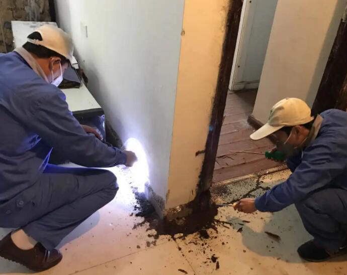 案例展示